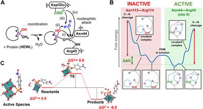 Computational Modelling of the Interactions Between Polyoxometalates and Biological Systems